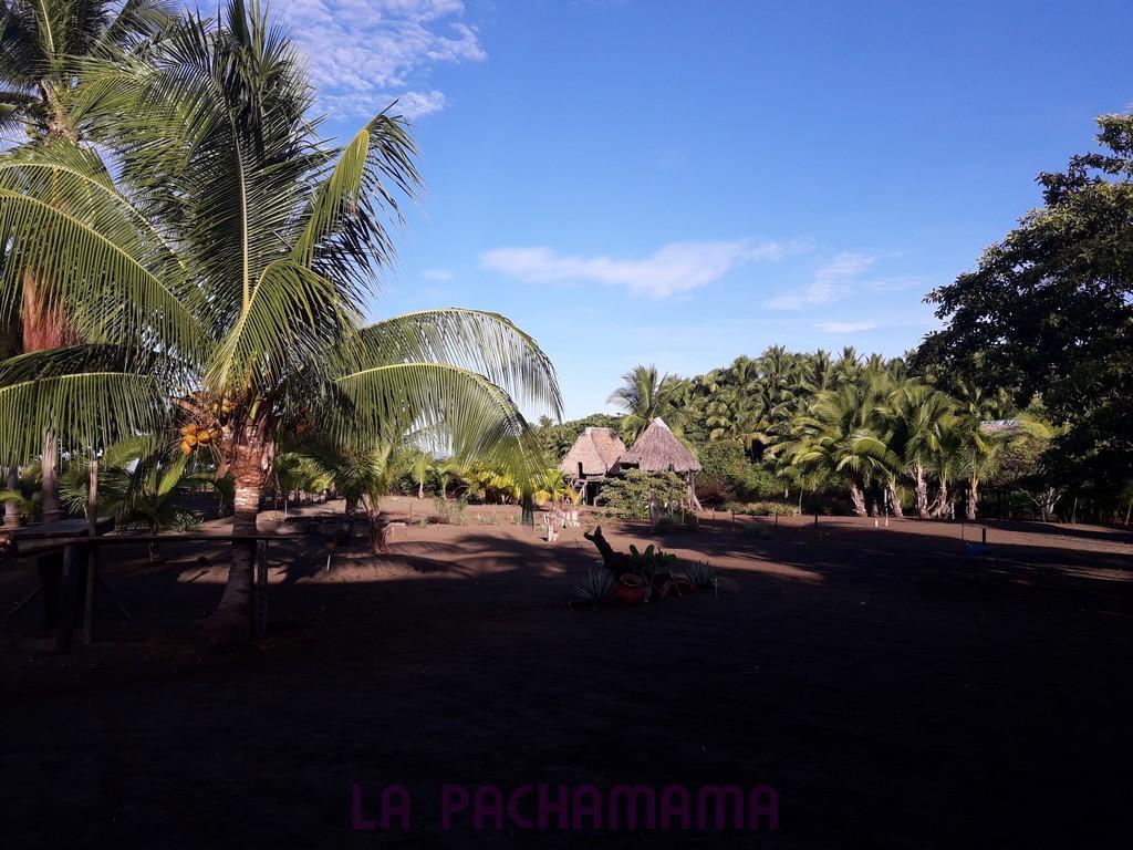 Hostal Pachamama Isla de Canas Εξωτερικό φωτογραφία