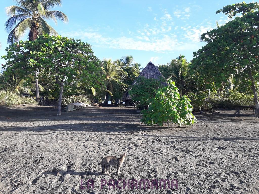 Hostal Pachamama Isla de Canas Εξωτερικό φωτογραφία