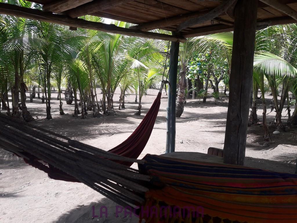 Hostal Pachamama Isla de Canas Εξωτερικό φωτογραφία