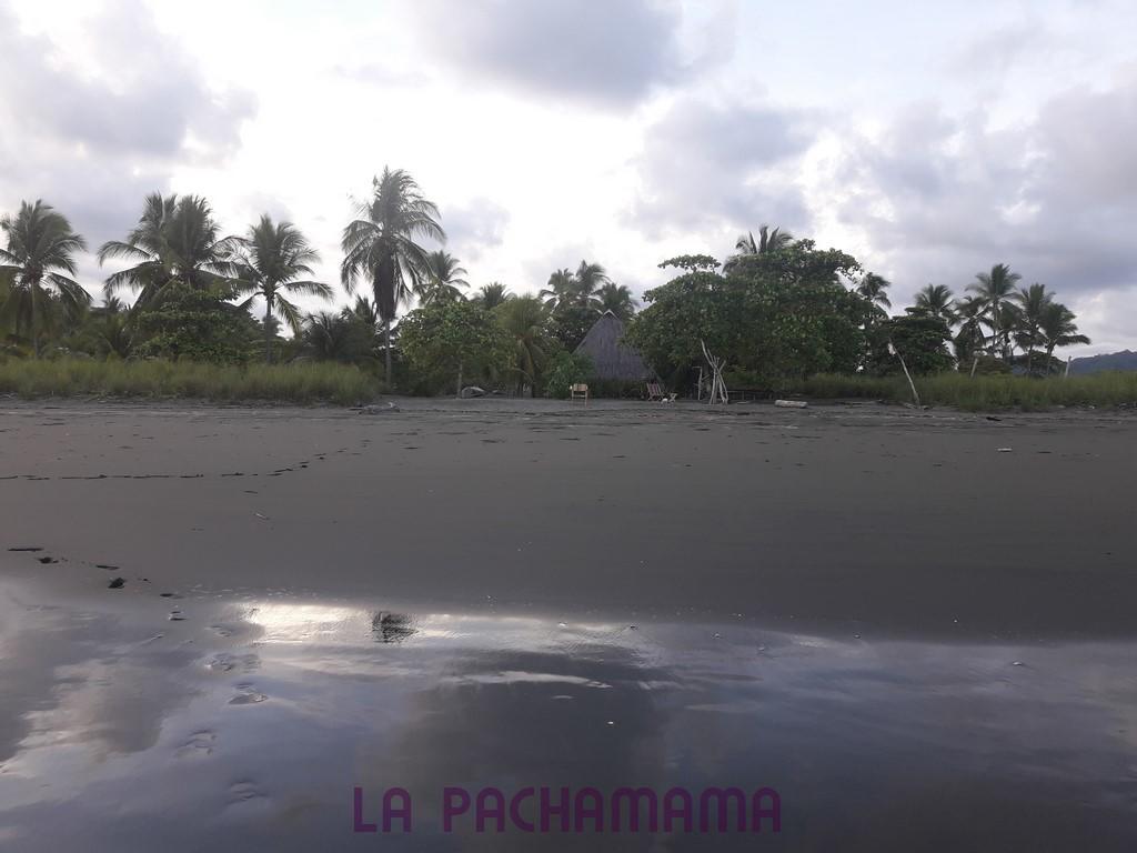 Hostal Pachamama Isla de Canas Εξωτερικό φωτογραφία