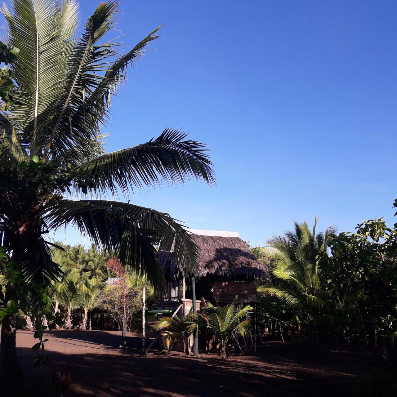Hostal Pachamama Isla de Canas Εξωτερικό φωτογραφία